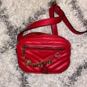 ALDO Taunton Charm Belt Bag